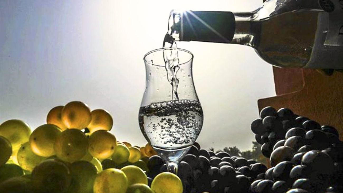 Consejo Asesor del Pisco analizará desafíos de la Denominación de Origen Consejo Asesor del Pisco analizará desafíos de la Denominación de Origen