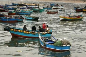 Preocupación por desempleo en gremios costeros de Chile: exigen soluciones urgentes