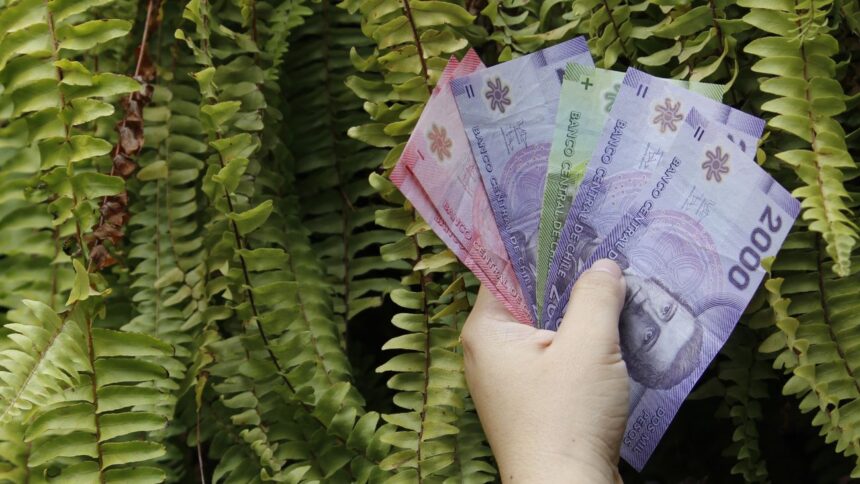 Salario mínimo en Chile: cambios significativos a partir de julio