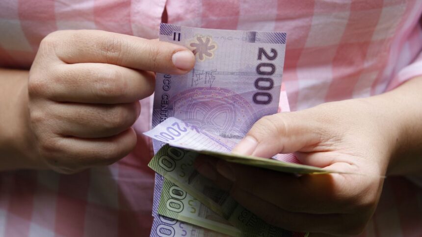 Bonos y Subsidios en Chile: Ayudas para trabajadores, familias y pensionados