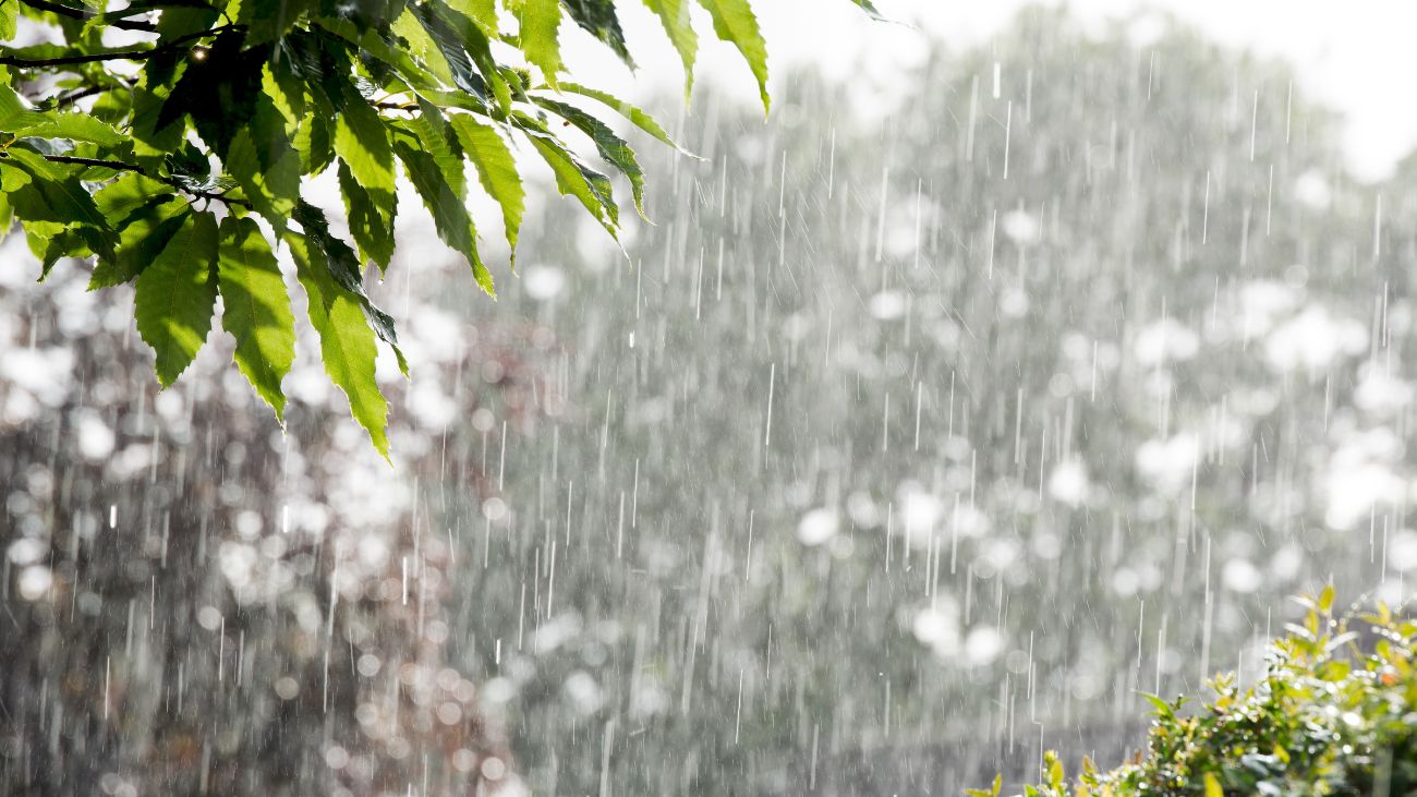 Lluvias intensas afectarán al país esta semana, ¿dónde y cuándo? Lluvias intensas afectarán al país esta semana, ¿dónde y cuándo?