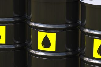 Proyecto Vaca Muerta Sur: Transporte de hasta 550.000 barriles por día de petróleo