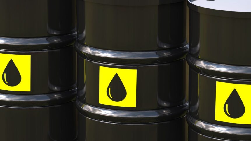 Proyecto Vaca Muerta Sur: Transporte de hasta 550.000 barriles por día de petróleo