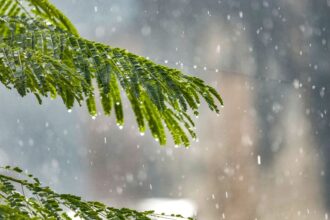 Lluvias en cuatro regiones de Chile el miércoles 18 de diciembre