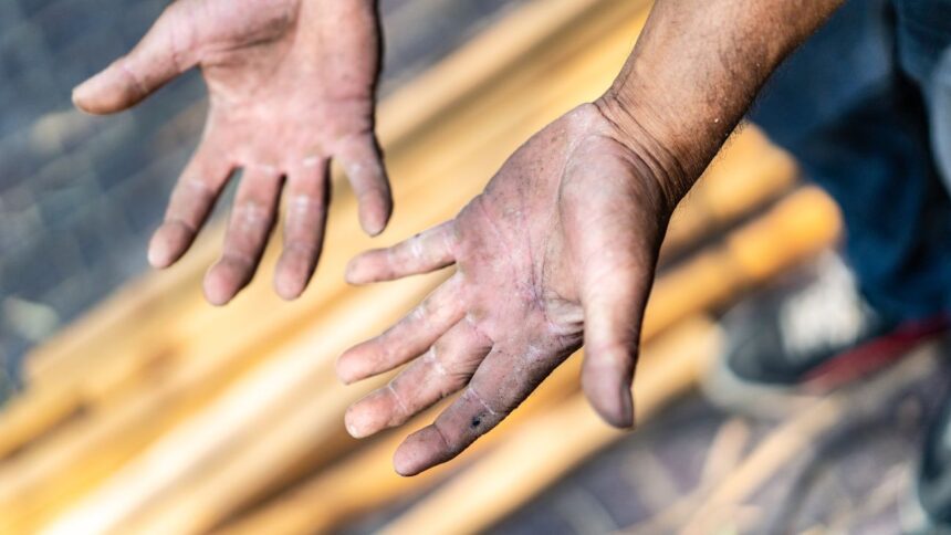 Preocupación por trabajo infantil en Chile: diputado González exige medidas urgentes