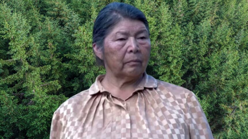 Preocupación por desaparición de dirigenta indígena en región de Los Ríos