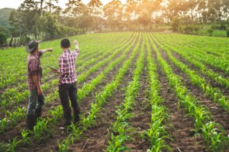 Plan de Seguridad Agroalimentaria para proteger agricultores en La Araucanía
