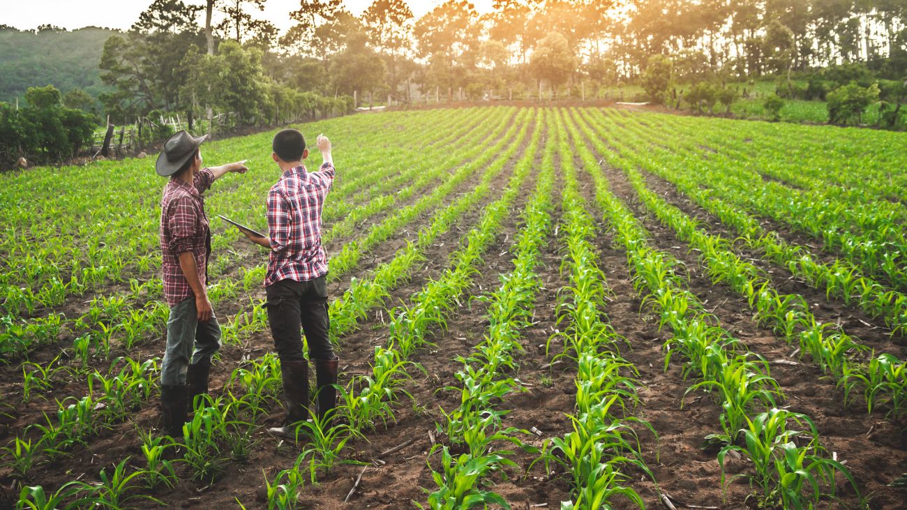 Plan de Seguridad Agroalimentaria para proteger agricultores en La Araucanía