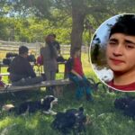 Misteriosa desaparición de joven en Parque Nacional Villarrica genera preocupación comunitaria