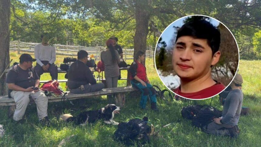 Misteriosa desaparición de joven en Parque Nacional Villarrica genera preocupación comunitaria