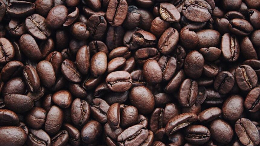 Descubren nuevo café resistente al cambio climático: Coffea robusta-clima
