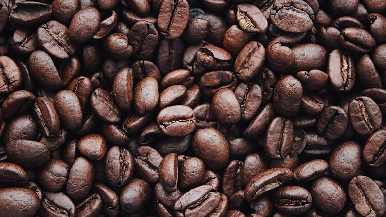 Descubren nuevo café resistente al cambio climático: Coffea robusta-clima Descubren nuevo café resistente al cambio climático: Coffea robusta-clima