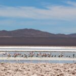 Acuerdo de reparación ambiental en Antofagasta: empresas mineras se comprometen a medidas clave