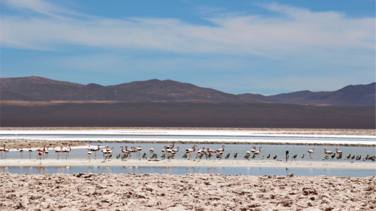 Acuerdo de reparación ambiental en Antofagasta: empresas mineras se comprometen a medidas clave