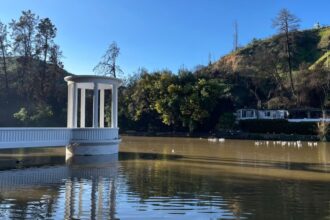 Avances en reconstrucción del Jardín Botánico de Viña del Mar