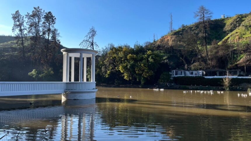 Avances en reconstrucción del Jardín Botánico de Viña del Mar