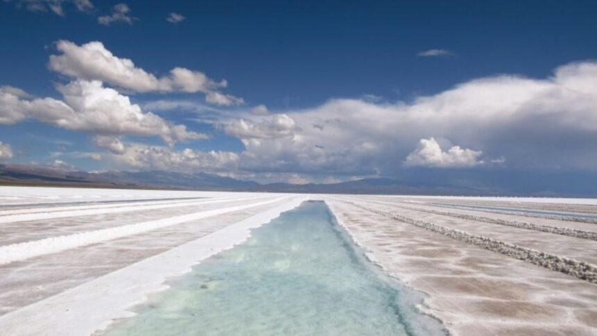 Escándalo de minería ilegal de litio en Namibia: Investigación a Xinfeng Investments