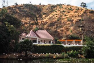 Reconstrucción del Jardín Botánico de Viña del Mar: nuevos avances tras incendio devastador