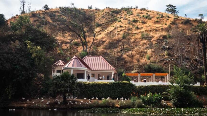 Reconstrucción del Jardín Botánico de Viña del Mar: nuevos avances tras incendio devastador