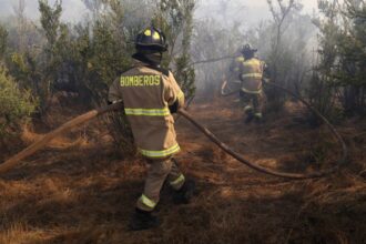 Evacuación urgente en Litueche por incendio forestal en combate