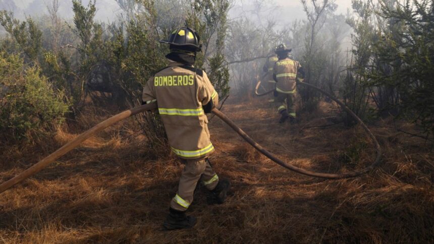 Evacuación urgente en Litueche por incendio forestal en combate