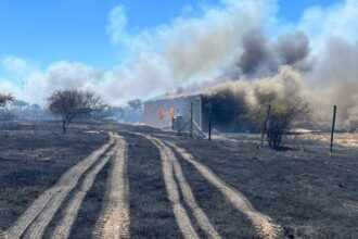 Incendios forestales en O’Higgins: origen, daños y contención de fuego