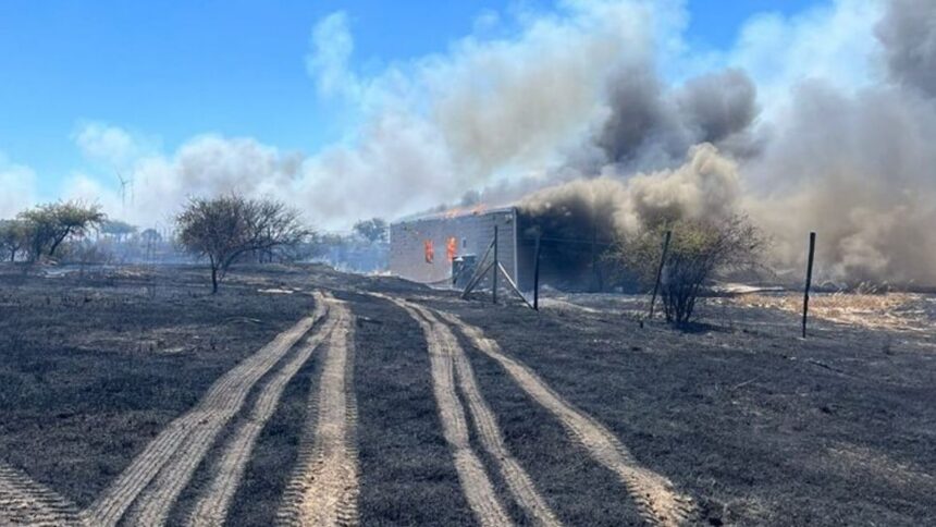 Incendios forestales en O’Higgins: origen, daños y contención de fuego