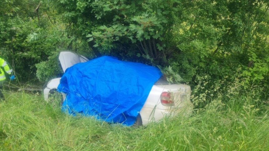 Trágico accidente en Los Ríos: Un fallecido y dos heridos leves