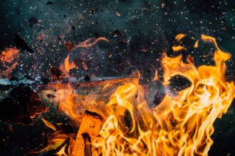 Detenido por incendio forestal y robo de madera en Los Álamos