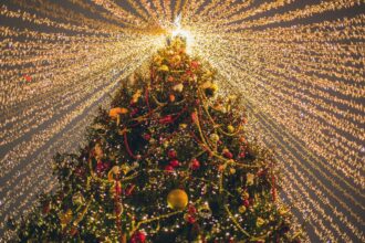 Panoramas en Valdivia: shows musicales, feria de cómics y Expo Navidad