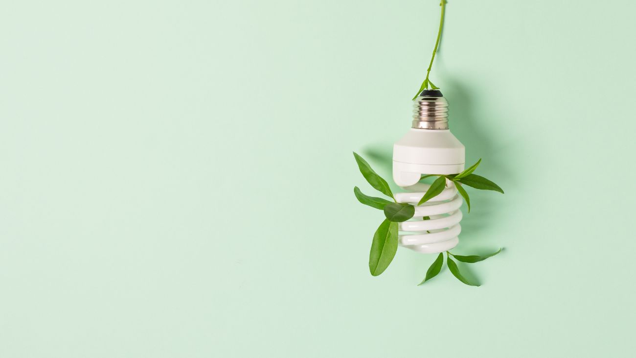 Empresarios buscan sustentabilidad y eficiencia para el éxito empresarial Empresarios buscan sustentabilidad y eficiencia para el éxito empresarial