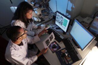 Núcleo Milenio AMXSA: Impulsando la sustentabilidad con los MXenos