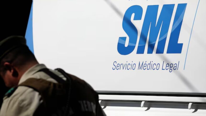 Muere lactante de 15 meses atacada por pitbull en Maule