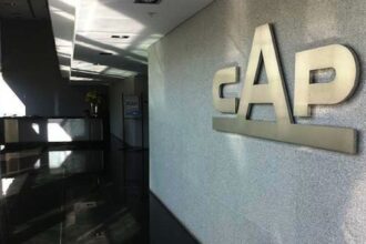 Inversión de US$10,8 millones: Grupo CAP ingresa al proyecto Carina en Brasil