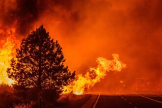 Identificado último fallecido del megaincendio: Erick Maggio descansa finalmente