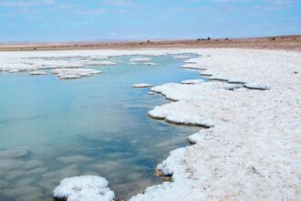 Avanzan negociaciones de suministro de litio para el 2025 amid challenges in the battery material sector