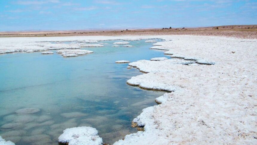 Avanzan negociaciones de suministro de litio para el 2025 amid challenges in the battery material sector