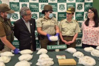 Detenido con 138 kilos de drogas en la Ruta 5 Sur