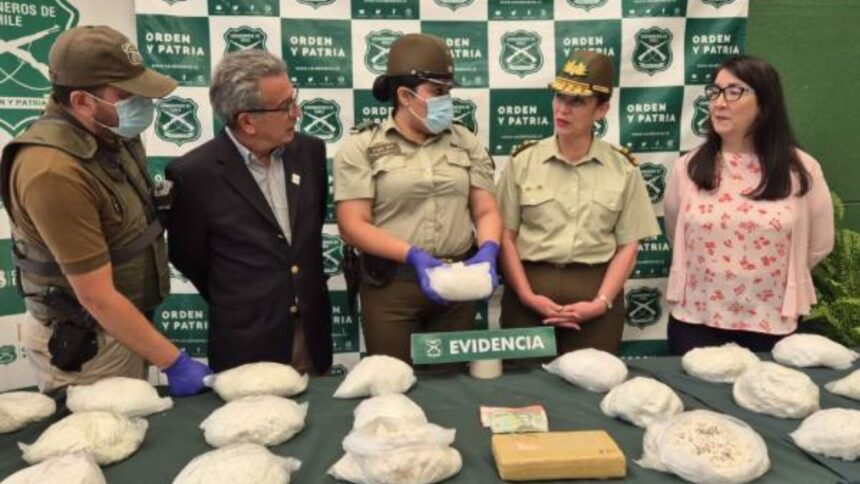 Detenido con 138 kilos de drogas en la Ruta 5 Sur