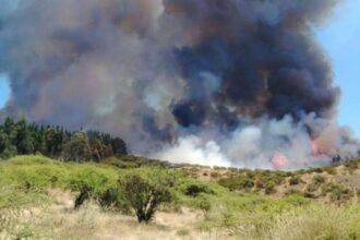 Alerta roja por incendio forestal en Marchigüe: evacuaciones y combate activo