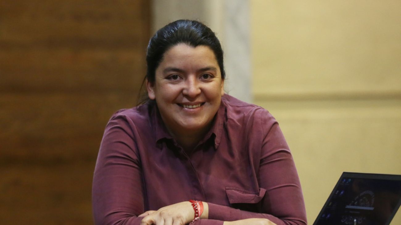 Diputada Romero exige fiscalización inmediata de venta ilegal de fuegos artificiales
