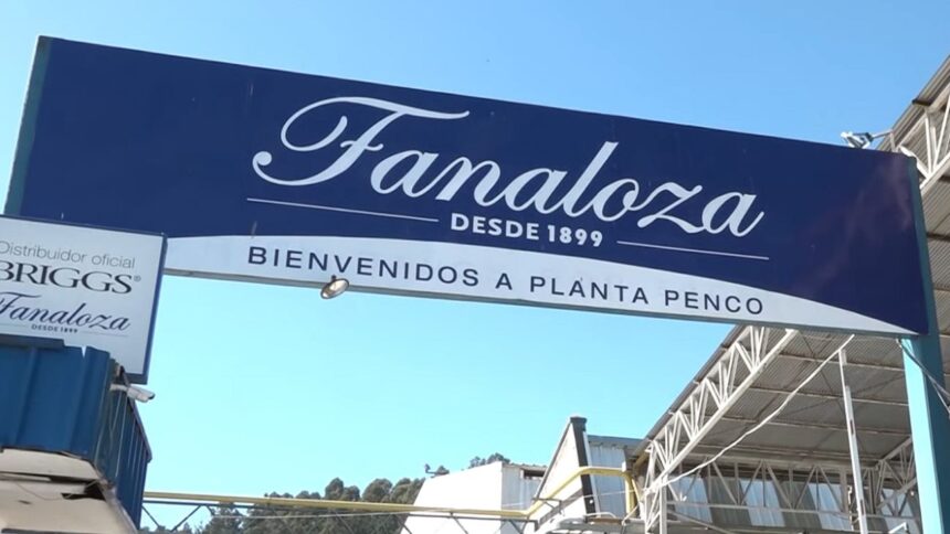 Extrabajadores de Fanaloza certificados en faenas portuarias en Penco
