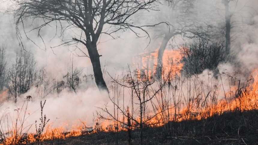 Optimización de la gestión de incendios forestales con tecnologías innovadoras