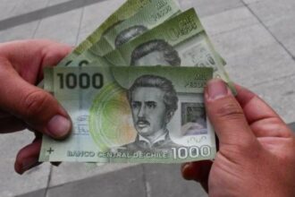 Beneficios Estatales 2025: Bonos y Subsidios que Mejoran la Vida