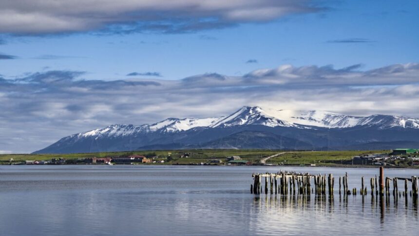 Mujer y sus perros sobreviven milagrosamente tras caer al Canal Señoret