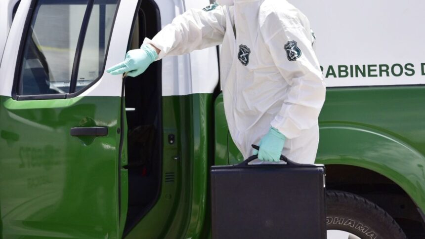 Hallazgo macabro en Tomé: mujer muerta bajo 13 planchas de construcción