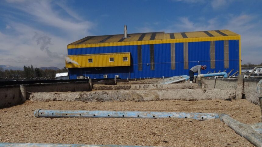 SMA sanciona a Agrícola Don Pollo-La Pintana con millonaria multa