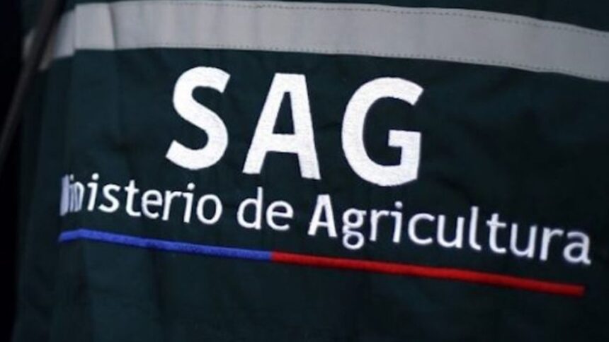 Exconcejal acusado de injurias: Conflicto previo a las municipales desata polémica