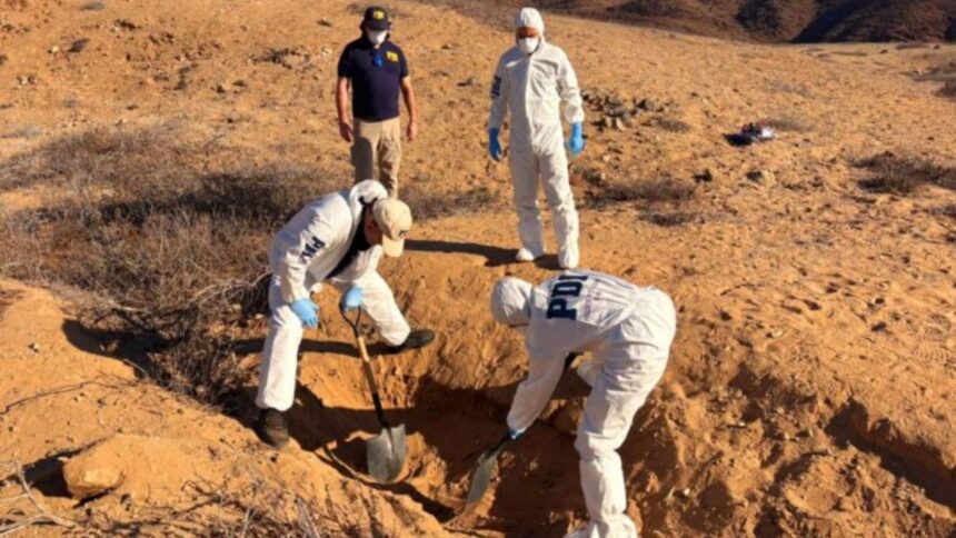 Hallazgo de cuerpo sin vida en Parque Nacional Llanos de Challe