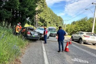 Trágico accidente en Villarrica: Joven brigadista de Conaf pierde la vida